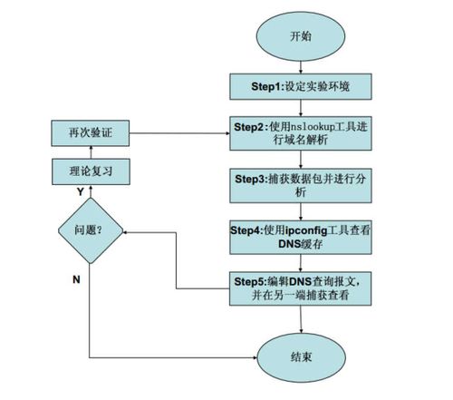 DNS域名服务协议实验在计算机网络技术教学中的实践与探索