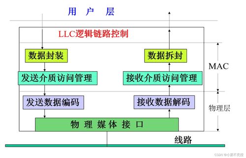 计算机网络之局域网 构建高效内部通信的关键技术